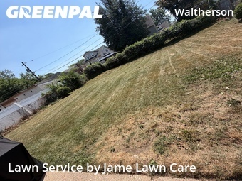 Lawn Service nearby Baltimore, MD, 