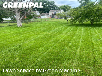 Lawn Care nearby Roseville, MI, 