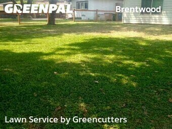 Lawn Cutting nearby Austin, TX, 