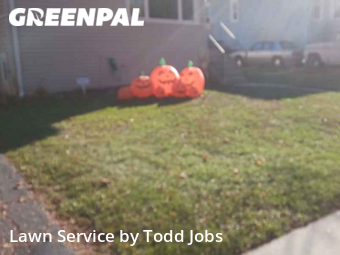 Lawn Service nearby Villa Park, IL, 