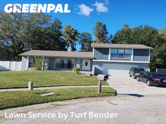 Grass Cut nearby Tampa, FL, 