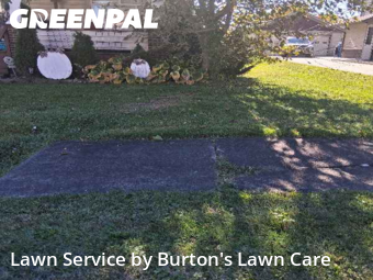 Yard Cutting nearby Struthers, PA, 