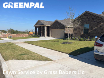 Grass Cut nearby Fort Worth, TX, 