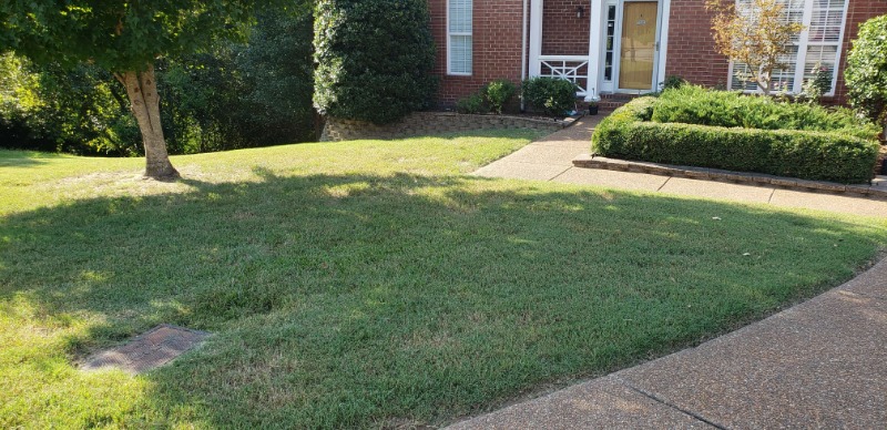 Yard mowing company in Nashville, TN, 37080