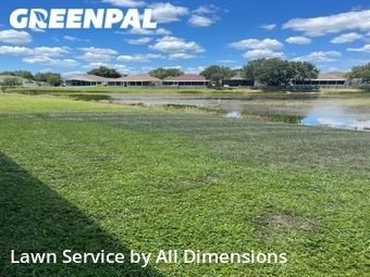 Lawn Cut nearby Wesley Chapel, FL, 