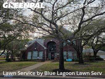 Yard Cuttingin Houston,77094,Lawn Care by Blue Lagoon Lawn Serv, work completed in Feb , 2026