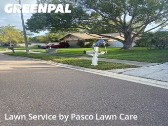 Yard Cutting nearby Palm Harbor, FL, 