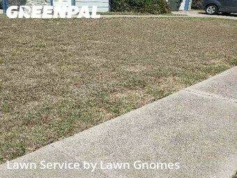 Lawn Service nearby Killeen, TX, 