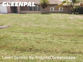 Grass Cutting nearby Port Charlotte, FL, 