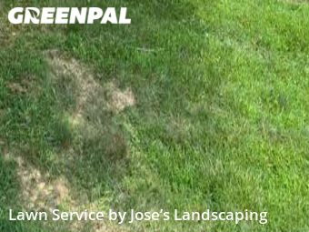 Lawn Mow nearby Ashburn, VA, 