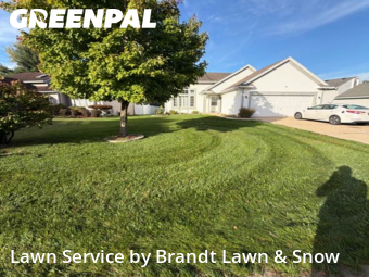 Grass Cut nearby Grand Rapids, MI, 