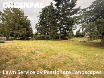 Yard Mowing nearby Parkland, WA, 