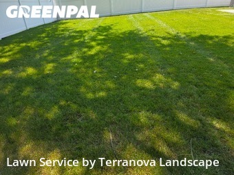 Weed Trimming in Carol Stream, 60188, Grass Cutting by Terranova Landscape, work completed in Nov , 2025