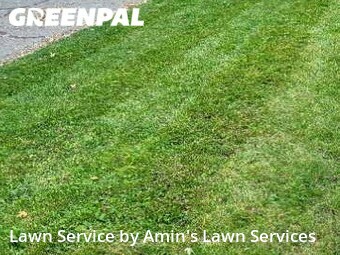 Yard Maintenance in Inkster, 48141, Lawn Care by Green Master, work completed in Nov , 2025