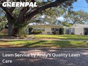 Grass Cutting nearby St. Pe Tersbug, FL, 