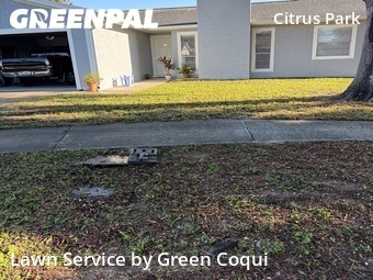 Lawn Cutting nearby Tampa, FL, 