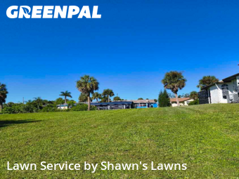 Grass Cut nearby Port Charlotte, FL, 