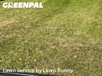 Lawn Care nearby Eden Prairie, MN, 