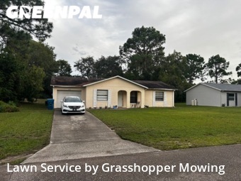 Grass Cut nearby Spring Hill, FL, 