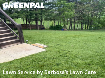 Yard Mowing nearby Leicester, NC, 