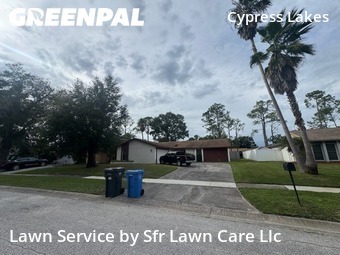 Grass Cuttingin Oldsmar,34677,Lawn Care by Sfr Lawn Care Llc, work completed in Nov , 2025