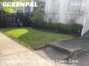 Grass Cut nearby New Orleans, LA, 