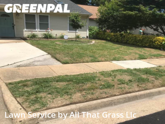 Yard Cutting nearby Virginia Beach, VA, 