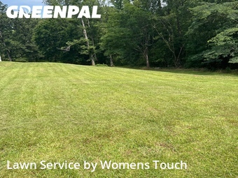 Lawn mowed in Duncanville, 35456
