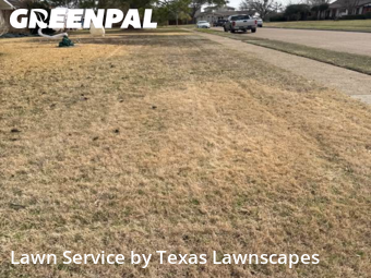 Lawn mowed in Richardson, 75081