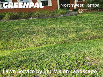 Yard Mowing nearby Tampa, FL, 