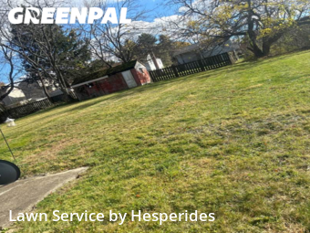 Yard Cutting nearby Homestead, PA, 