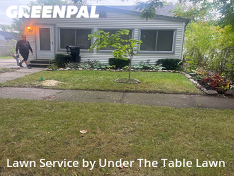 Lawn Mow nearby Hazel Park, MI, 