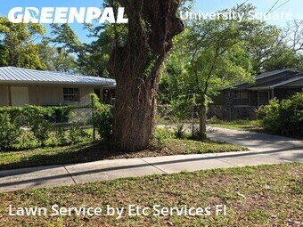 Backyard Landscaping In Tampa,33612,Landscapers by Etc Services Fl, work completed in Apr , 2026