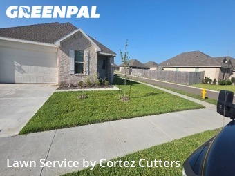 Yard Cutting nearby Corpus Christi, TX, 