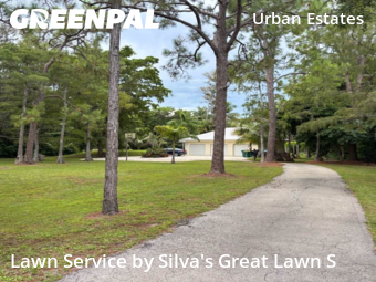Lawn Upkeep in Naples, 34119, Backyard Mowing by Silva's Great Lawn S, work completed in Nov , 2025