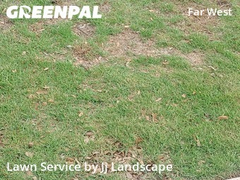 Grass Cutting nearby San Antonio, TX, 