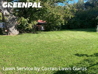 Lawn Cutting nearby St. Louis, IL, 