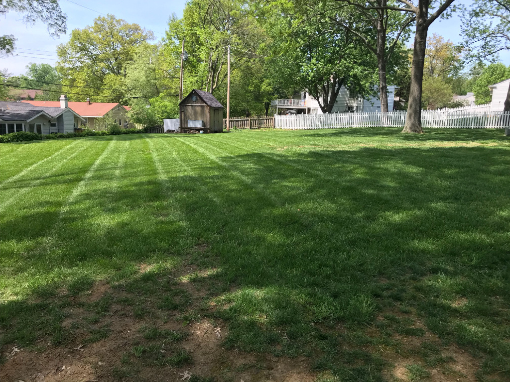 Brush Brothers Lawn Care Services in ster Groves, MO
