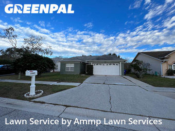Lawn Service nearby Palm Harbor, FL, 