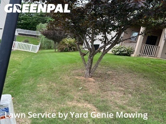 Yard Cutting nearby Charlotte, NC, 