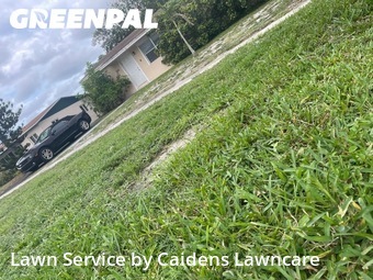 Lawn mowed in Deerfield Beach, 33441
