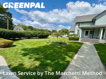 Grass Cutting nearby Plainfield, IL, 