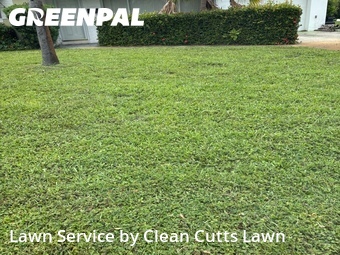 Lawn Cut nearby St. Petersburg, FL, 