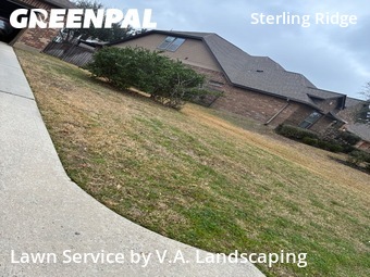 Lawn mowed in The Woodlands, 77354
