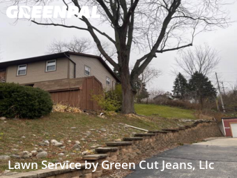 Lawn Mow nearby Salem, IL, 