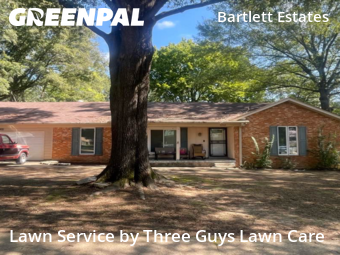 Grass Care in Bartlett, 38134, Lawn Upkeep by Three Guys Lawn Care, work completed in Nov , 2025