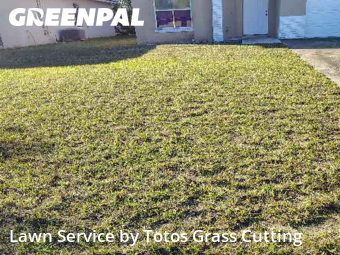 Grass Cuttingin Apopka,32703,Lawn Mowing by Totos Grass Cutting, work completed in Nov , 2025