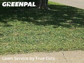 Yard Mowing nearby Del City, OK, 