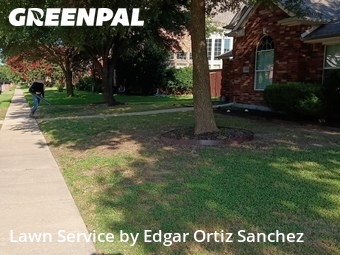 Yard Cutting nearby Allen, TX, 