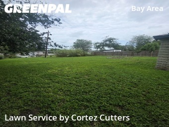 Grass Cut nearby Corpus Christi, TX, 